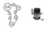 Водяний насос + комплект зубчатого ременя AIRTEX WPK-199201 (фото 1)