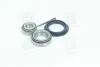 Підшипник маточини DAEWOO LANOS задн. міст (Вир-во COMPLEX) COMPLEX AUTOMOTIVE BEARINGS Sp.z.o.o. CX008 (фото 1)