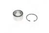 Подшипник ступицы OPEL OMEGA A задн. мост (Пр-во COMPLEX) COMPLEX AUTOMOTIVE BEARINGS Sp.z.o.o. CX029 (фото 1)
