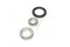 Підшипник маточини DAEWOO LANOS задн. міст (Вир-во COMPLEX) COMPLEX AUTOMOTIVE BEARINGS Sp.z.o.o. CX523 (фото 2)