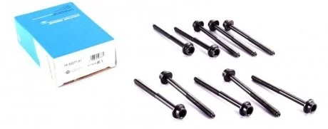 Болти головки (к-кт 10шт.) VW Passat 1.4 TSI 10- VICTOR REINZ 14-32277-01