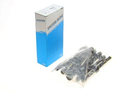 Комплект болтів головки циліндрів VICTOR REINZ 14-10371-01