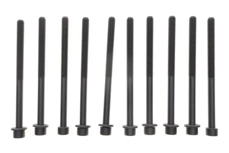 Комплект болтів головки циліндрів VICTOR REINZ 14-10383-01