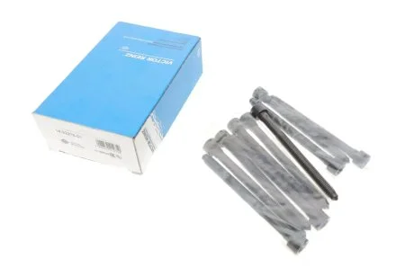 Болти головки (к-кт 10шт.) VW Passat/Multivan VI/Golf V/VI/T5/T6 1.8/2.0 04- (M10x1.5x117) VICTOR REINZ 14-32276-01