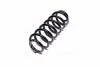 Пружина підвіски KAYABA KYB RH6230 (фото 4)
