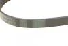 Ремінь генератора BMW 1 (F20/F21)/3 (F30/F80) 1.6i 11-/Honda Civic VII/FR-V 1.7i 01- Contitech 6PK986 (фото 3)