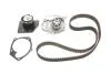 Водяний насос + комплект зубчатого ременя SKF VKMC 06008 (фото 1)
