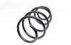Пружина (передня) Hyundai i30 1.4/1.6 07-11 МКПП для 1.6 (накл.зад.ч.) (№ шасі:J на 11 позиції) LESJOFORS 4037246 (фото 5)
