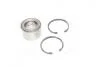 Подшипник ступицы OPEL, RENAULT передн. (пр-во Complex) COMPLEX AUTOMOTIVE BEARINGS Sp.z.o.o. CX327 (фото 1)