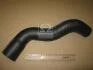 Патрубок радіатора нижній Hyundai HD (вир-во, Korea) PARTS-MALL PXNLA-138 (фото 2)