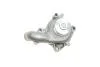 Насос воды Ford Fiesta/Escort/Orion 1.8D 88-02/Mazda 121 III 1.8D 96-03 (WPQ0155) MAGNETI MARELLI 352316170155 (фото 7)