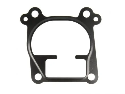 Прокладка корпуса впускного коллектора Opel Astra G 2.0/2.2 DTI 99-05 ELRING 743.970