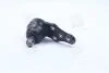 Опора кульова DAEWOO LACETTI(J200) (вир-во, Korea) PARTS-MALL PXCJC-004 (фото 1)