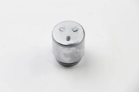 Елементи гальмівного супорта (Поршень) (SEIN) AUTOFREN D0 25253