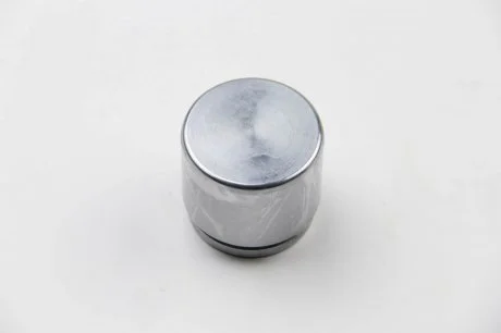 Елементи гальмівного супорта (Поршень) (SEIN) AUTOFREN D0 2531