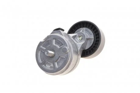 Натяжник ременя генератора Fiat Doblo 1.9JTD 01- (66x29) SKF VKM 32027