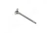 Клапан випускн. Daewoo C18SED/C20SED/X20SED/T18SED (вир-во PMC-ESSENCE) PARTS-MALL HCZC-008E (фото 3)