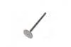 Клапан випускн. Daewoo C18SED/C20SED/X20SED/T18SED (вир-во PMC-ESSENCE) PARTS-MALL HCZC-008E (фото 4)