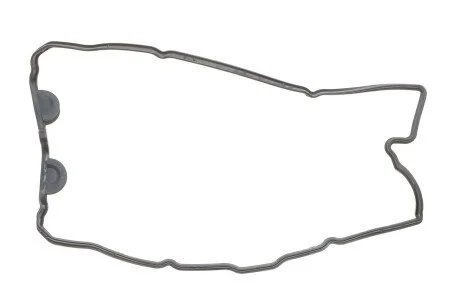 Прокладка кришки клапанів Nissan Primera 1.6 16V 96-02 ELRING 071.410