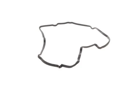 Прокладка кришки клапанів Nissan 350/Renault Espace 02- (R) ELRING 372.760