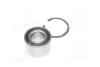 Підшипник маточини OPEL задн. міст (Вир-во COMPLEX) COMPLEX AUTOMOTIVE BEARINGS Sp.z.o.o. CX013 (фото 2)