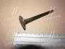 Клапан-INT HYUNDAI D4EA/D4EB (пр-во PMC-ESSENCE) PARTS-MALL HCZA-021 (фото 2)