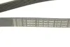 Ремінь генератора MB E-class (W211) 5.5 02-08 (M113)/Land Rover Range Rover 5.0SCV8 13- (6PK2445) BOSCH 1 987 947 998 (фото 5)