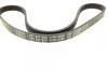 Ремінь генератора Honda Civic VI/Nissan Primera/Citroen Berlingo 1.4-1.6 16V 94-05 (4PK800) BOSCH 1 987 947 893 (фото 2)
