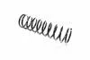 Винтовая пружина подвески (задняя) KYB RA5032 (фото 3)