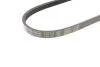Ремінь генератора Renault Laguna/Espace 3.5 02-/Honda Civic 1.6 88-01 (4PK775) BOSCH 1 987 947 891 (фото 2)