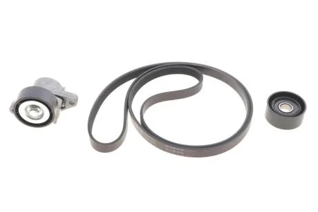 Комплект ременя генератора Renault Megane/Scenic 00-09, (5PK1750) INA 529 0082 10