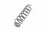 Пружина підвіски KAYABA KYB RA6978 (фото 4)