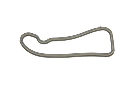 Прокладка, впускний колектор ELRING 593.270