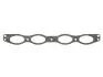 Прокладка впускного коллектора Citroen Jumper 2.5D ELRING 711.880 (фото 1)