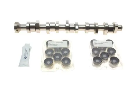 Розподільний вал VW T5 2.5 TDI 03-09, 96/120/128kw, (BNZ,AXD,BPC,AXE,BLJ) INA 428 0040 30