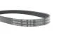 Ремень поликлиновый DAYCO 5PK716EE (фото 4)