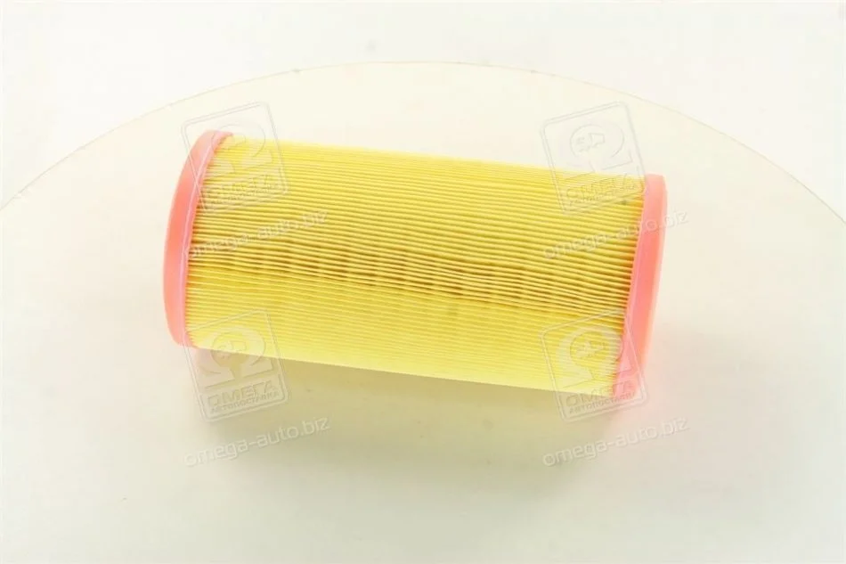 Фильтр воздушный RENAULT (пр-во M-Filter) M-FILTER A109 (фото 1)