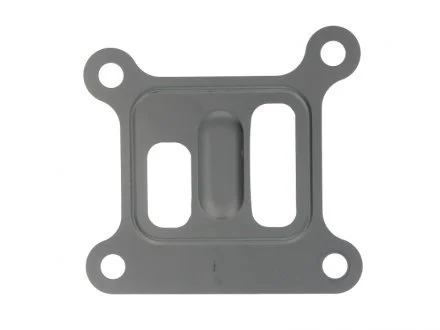 Прокладка насоса воды Ford Transit 2.0 DI 00-06 ELRING 027.831