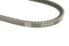 Ремінь генератора Fiat Tipo/Mitsubishi Pajero 2.0i/2.6 83- DAYCO 13A0750C (фото 5)