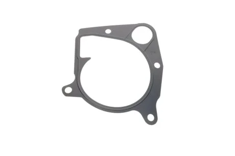 Прокладка помпы воды BMW 3 (E90/92/93)/5 (E39/70) 2.0/2.5/3.0D 98-14 ELRING 362.281