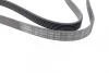 Ремінь генератора Fiat Doblo 1.6D Multijet/Opel Combo 12-(-AC) (6PK1370) BOSCH 1 987 946 278 (фото 2)