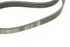 Ремень п-клиновой 5pk1165 BOSCH 1 987 947 841 (фото 4)