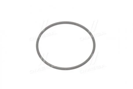 Прокладка вакуумного підсилювача SSANGYONG 6719940047