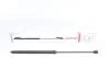 Амортизатор капоту MB C-class (W203/S203) 00-07/CLK (C209) 02-09 (R) (седан/унив.)(вишт.сила 280N) LESJOFORS 8056806 (фото 1)