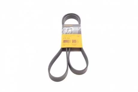 Ремінь генератора Ford Focus 1.8 TDCi 05-12/Skoda Octavia/VW Lupo/Seat Arosa 1.4 i 99-01 Contitech 6PK1520