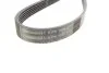 Ремень генератора Nissan Murano 2.5 16-/Opel Frontera B 2.2 98-04 Contitech 6PK1850 (фото 2)