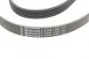 Ремінь генератора Citroen Jumper 1.9TD 94-02 (ALT,PS,AC) Contitech 6PK1705 (фото 3)