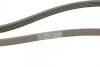 Ремінь генератора Kia Cerato/Rio 1.5-1.6 CRDI 05-/MB A-class (W169/W176) 1.8-2.2CDI 04-18 Contitech 5PK1745 (фото 3)
