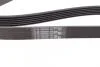 Ремінь генератора Peugeot 206/Partner/Citroen Berlingo 1.1-1.6 02-/VW Fox/Polo 1.2 02-14 Contitech 6PK1453 (фото 2)