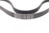 Ремінь генератора Peugeot 206/Partner/Citroen Berlingo 1.1-1.6 02-/VW Fox/Polo 1.2 02-14 Contitech 6PK1453 (фото 3)